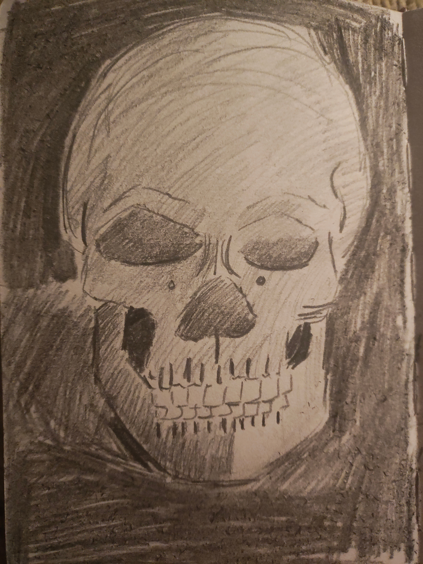Pencil skull study by Cassie Strickland